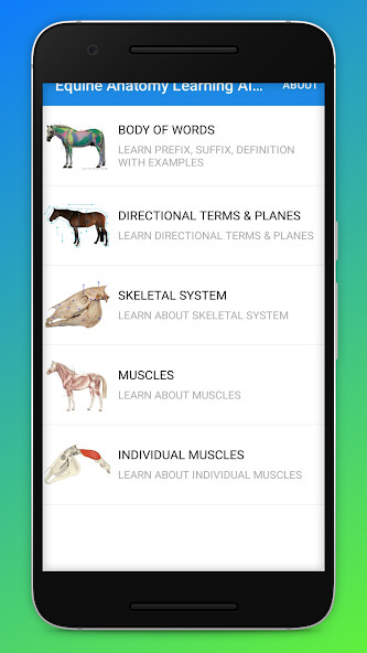 Run android online APK Equine Anatomy Learning Aid (EALA) from MyAndroid or emulate Equine Anatomy Learning Aid (EALA) using MyAndroid