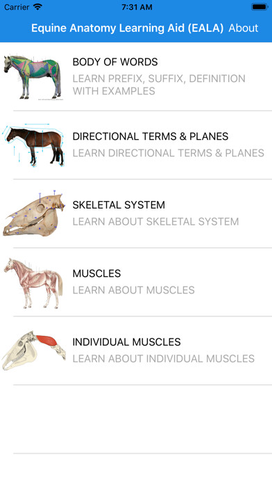 Emulate iPhone app Equine Anatomy Learning Aid using MyAndroid Emulate iPhone app Equine Anatomy Learning Aid using MyAndroid