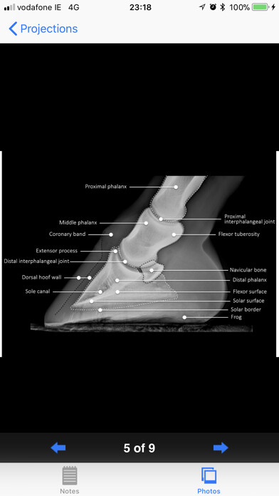 Emulate iPhone app Equine Radiography using MyAndroid