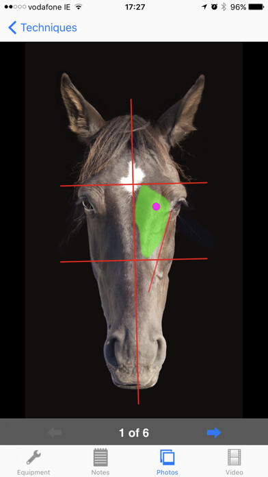 Emulate iPhone app Equine Techniques using MyAndroid