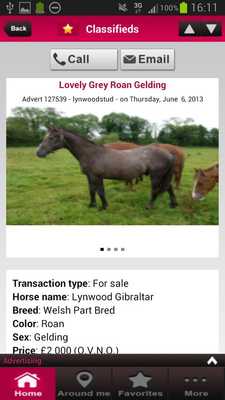 Emulate Android APK Equirodi - Horse Marketplace Emulate Android APK Equirodi - Horse Marketplace