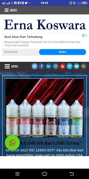 Run android online APK Erna from MyAndroid or emulate Erna using MyAndroid