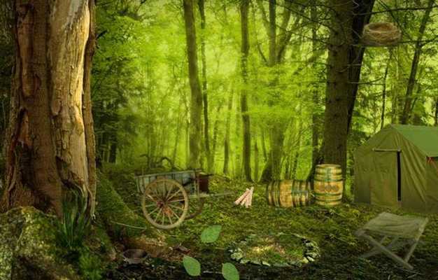 Emulate Android APK Escape Game Studio - Mysterious Forest Emulate Android APK Escape Game Studio - Mysterious Forest