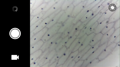 Emulate Android APK eScope