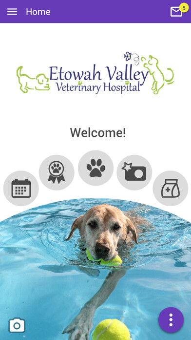 Emulate iPhone app Etowah Valley Vet using MyAndroid Emulate iPhone app Etowah Valley Vet using MyAndroid