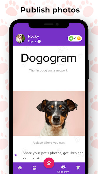 Run android online APK eTrainDog: Dog Trainer from MyAndroid or emulate eTrainDog: Dog Trainer using MyAndroid Run android online APK eTrainDog: Dog Trainer from MyAndroid or emulate eTrainDog: Dog Trainer using MyAndroid