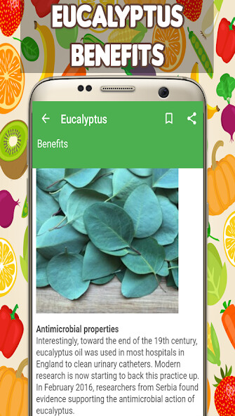 Run android online APK Eucalyptus Benefits from MyAndroid or emulate Eucalyptus Benefits using MyAndroid