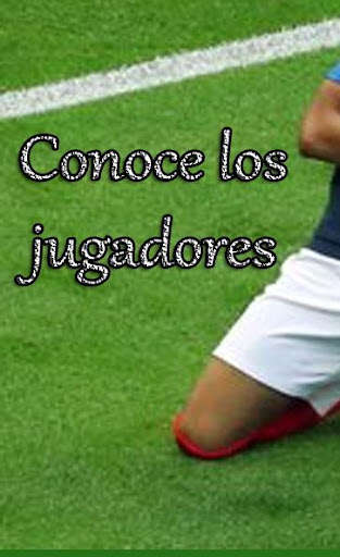 Run android online APK EuroCopa 2020 from MyAndroid or emulate EuroCopa 2020 using MyAndroid