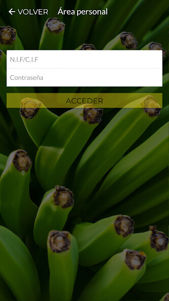 Run android online APK Europlátano from MyAndroid or emulate Europlátano using MyAndroid Run android online APK Europlátano from MyAndroid or emulate Europlátano using MyAndroid