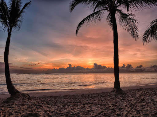 Run android online APK Evening Photo Frames from MyAndroid or emulate Evening Photo Frames using MyAndroid Run android online APK Evening Photo Frames from MyAndroid or emulate Evening Photo Frames using MyAndroid
