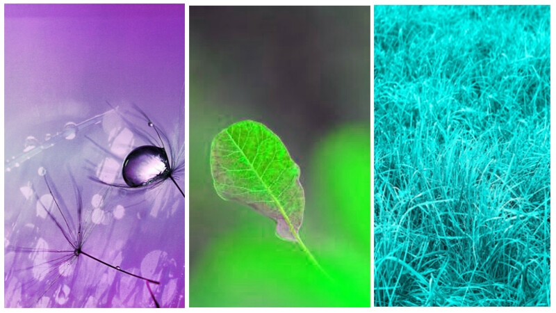 Run android online APK E-wallpaper from MyAndroid or emulate E-wallpaper using MyAndroid