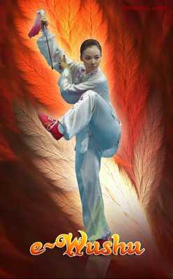 Emulate Android APK e-Wushu