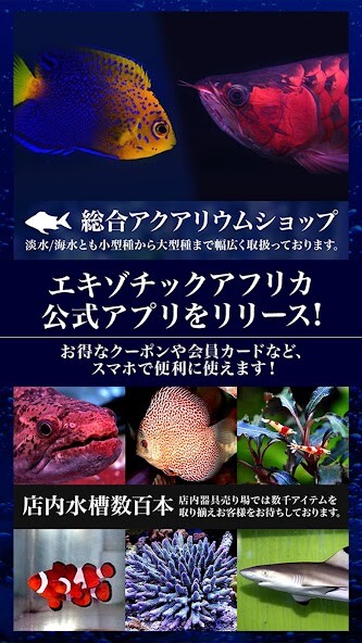Run android online APK ExoticAfrica(エキゾチックアフリカ)公式アプリ from MyAndroid or emulate ExoticAfrica(エキゾチックアフリカ)公式アプリ using MyAndroid