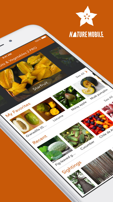 Emulate iPhone app Exotic Fruits and Vegetables 2 PRO - NATURE MOBILE using MyAndroid Emulate iPhone app Exotic Fruits and Vegetables 2 PRO - NATURE MOBILE using MyAndroid