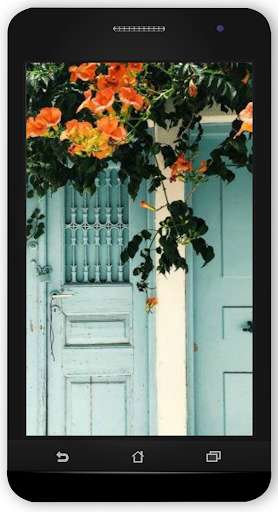 Run android online APK Exterior Doors from MyAndroid or emulate Exterior Doors using MyAndroid