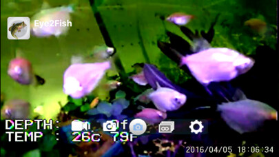 Emulate iPhone app Eye2Fish using MyAndroid