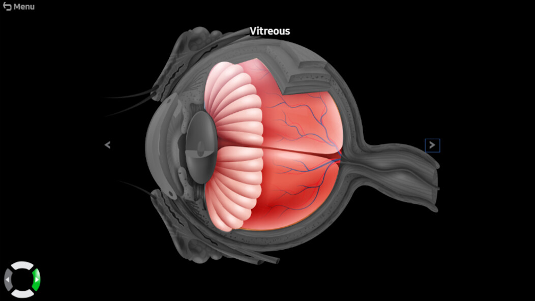 Run android online APK EyeCharts - Visual Acuity from MyAndroid or emulate EyeCharts - Visual Acuity using MyAndroid Run android online APK EyeCharts - Visual Acuity from MyAndroid or emulate EyeCharts - Visual Acuity using MyAndroid