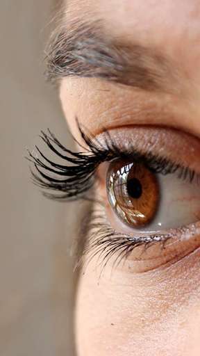 Run android online APK Eyelashes Makeup Art - Eye Color Photo Editor from MyAndroid or emulate Eyelashes Makeup Art - Eye Color Photo Editor using MyAndroid