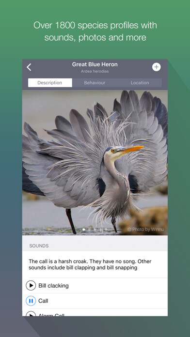 Emulate iPhone app EyeLoveBirds: Bird Checklists using MyAndroid Emulate iPhone app EyeLoveBirds: Bird Checklists using MyAndroid