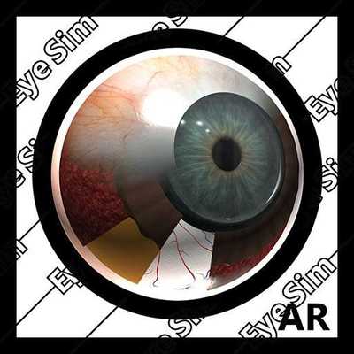 Emulate Android APK EyeSim-Preview