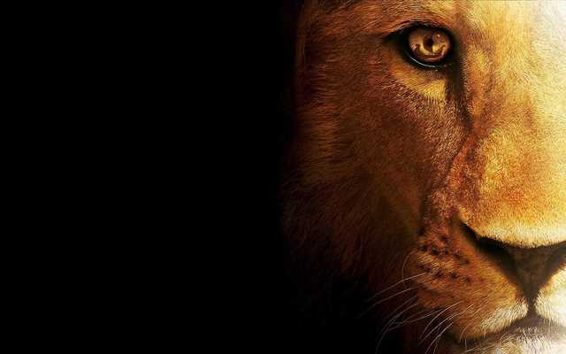 Emulate Android APK Eyes Lion Live Wallpaper Emulate Android APK Eyes Lion Live Wallpaper