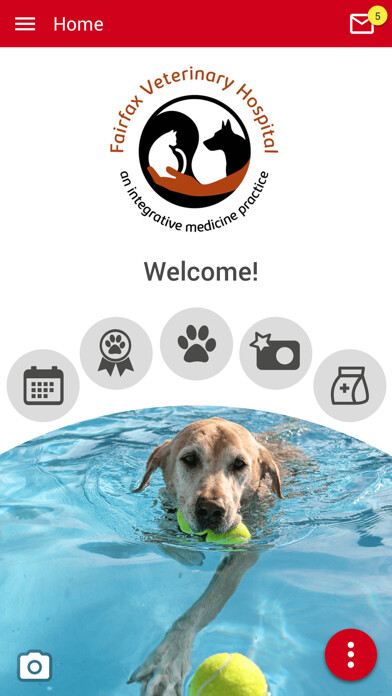 Emulate iPhone app Fairfax Paws Portal using MyAndroid Emulate iPhone app Fairfax Paws Portal using MyAndroid