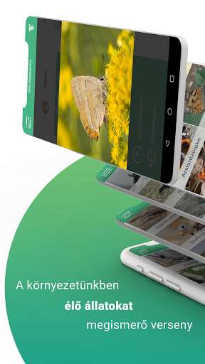 Run android online APK Fajbook from MyAndroid or emulate Fajbook using MyAndroid
