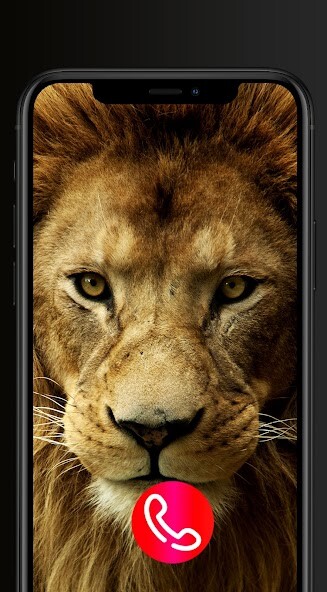 Run android online APK Fake Call Animals Ringtones from MyAndroid or emulate Fake Call Animals Ringtones using MyAndroid