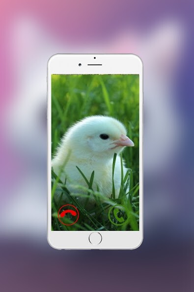 Run android online APK fake call chicken from MyAndroid or emulate fake call chicken using MyAndroid Run android online APK fake call chicken from MyAndroid or emulate fake call chicken using MyAndroid