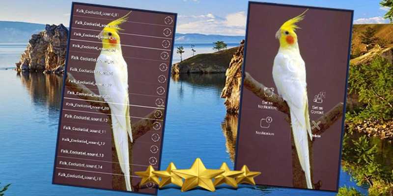 Emulate Android APK Falk Bird Singing Emulate Android APK Falk Bird Singing