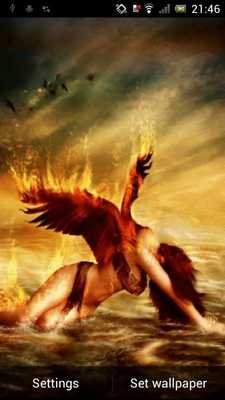 Emulate Android APK Fallen angel live wp
