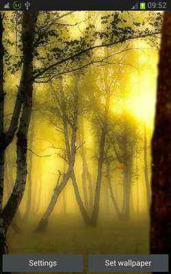 Emulate Android APK Fall Leaves Wallpaper Forest