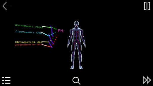 Run android online APK Familial Hypercholesterolemia from MyAndroid or emulate Familial Hypercholesterolemia using MyAndroid Run android online APK Familial Hypercholesterolemia from MyAndroid or emulate Familial Hypercholesterolemia using MyAndroid