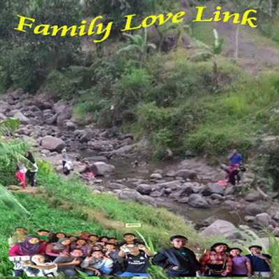 Emulate Android APK familylovelink Emulate Android APK familylovelink