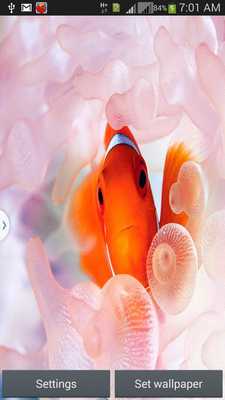 Emulate Android APK Fantastic Aquarium LW Emulate Android APK Fantastic Aquarium LW