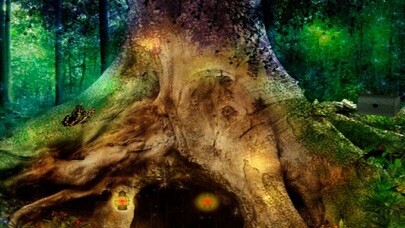 Emulate iPhone app Fantasy Forest Cave Escape using MyAndroid