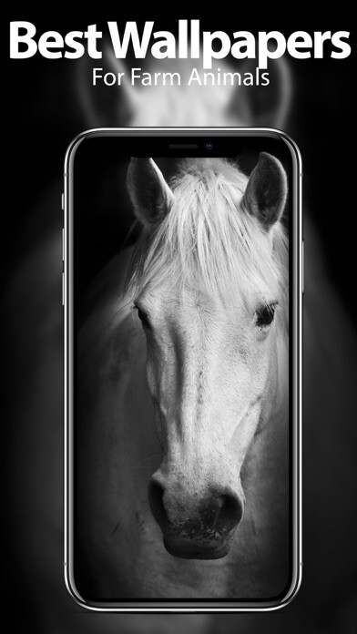 Emulate iPhone app Farm Animal Wallpapers using MyAndroid Emulate iPhone app Farm Animal Wallpapers using MyAndroid