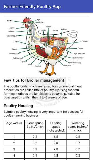 Run android online APK Farmer Friendly poultry app from MyAndroid or emulate Farmer Friendly poultry app using MyAndroid Run android online APK Farmer Friendly poultry app from MyAndroid or emulate Farmer Friendly poultry app using MyAndroid