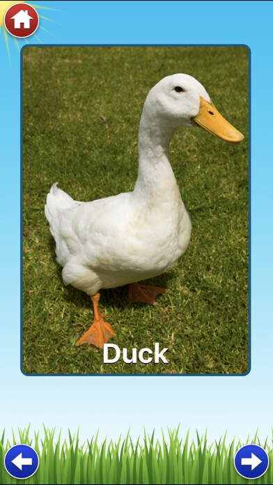 Emulate iPhone app Farm Sounds Lite - Fun Animal Noises for Kids using MyAndroid Emulate iPhone app Farm Sounds Lite - Fun Animal Noises for Kids using MyAndroid