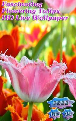 Emulate Android APK Fascinating Blossoms Tulips