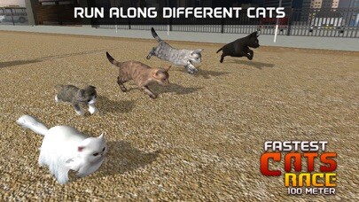 Emulate iPhone app Fastest Pet Cat Racing fun Game using MyAndroid Emulate iPhone app Fastest Pet Cat Racing fun Game using MyAndroid