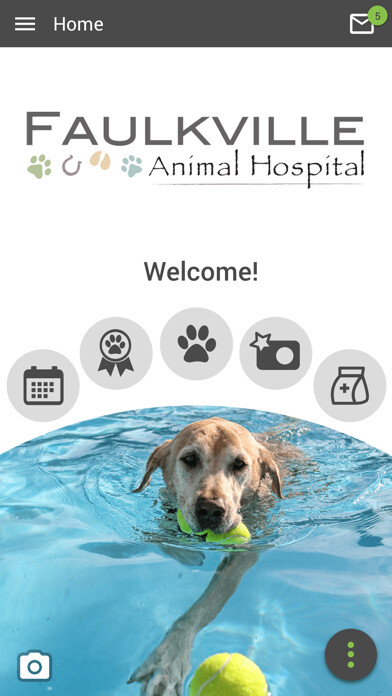 Emulate iPhone app Faulkville Animal Hospital using MyAndroid Emulate iPhone app Faulkville Animal Hospital using MyAndroid