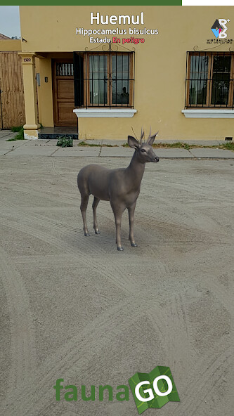 Run android online APK Fauna GO Beta from MyAndroid or emulate Fauna GO Beta using MyAndroid Run android online APK Fauna GO Beta from MyAndroid or emulate Fauna GO Beta using MyAndroid