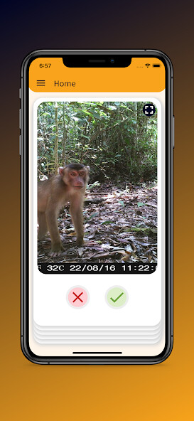 Run android online APK Faunawatch Citizen Science from MyAndroid or emulate Faunawatch Citizen Science using MyAndroid