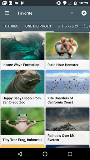 Run android online APK Feed Go - Universal RSS Reader from MyAndroid or emulate Feed Go - Universal RSS Reader using MyAndroid Run android online APK Feed Go - Universal RSS Reader from MyAndroid or emulate Feed Go - Universal RSS Reader using MyAndroid