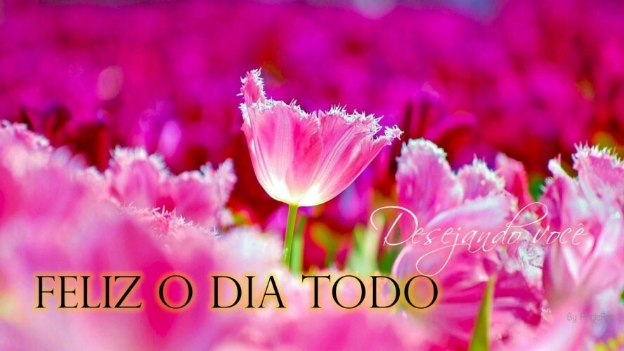 Run android online APK FELIZ DIA AMIGOS GIFS from MyAndroid or emulate FELIZ DIA AMIGOS GIFS using MyAndroid Run android online APK FELIZ DIA AMIGOS GIFS from MyAndroid or emulate FELIZ DIA AMIGOS GIFS using MyAndroid