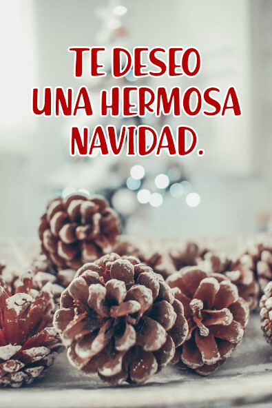 Run android online APK Feliz Navidad 2024 - Saludos from MyAndroid or emulate Feliz Navidad 2024 - Saludos using MyAndroid Run android online APK Feliz Navidad 2024 - Saludos from MyAndroid or emulate Feliz Navidad 2024 - Saludos using MyAndroid
