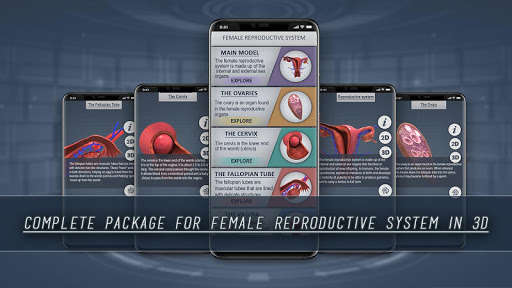 Run android online APK Female Reproductive System 3D from MyAndroid or emulate Female Reproductive System 3D using MyAndroid Run android online APK Female Reproductive System 3D from MyAndroid or emulate Female Reproductive System 3D using MyAndroid