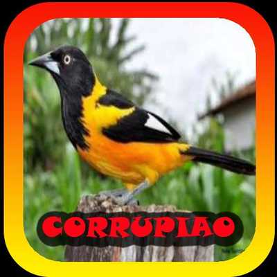 Emulate Android APK Femea canto de Corrupiao Emulate Android APK Femea canto de Corrupiao