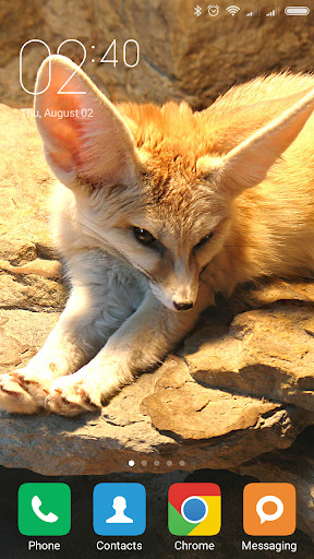 Run android online APK Fennec fox Wallpapers from MyAndroid or emulate Fennec fox Wallpapers using MyAndroid Run android online APK Fennec fox Wallpapers from MyAndroid or emulate Fennec fox Wallpapers using MyAndroid